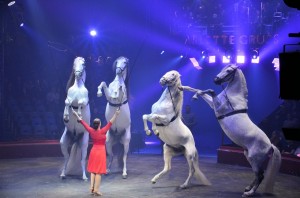 Cirque Arlette Gruss 2016 20   