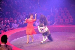 Cirque Arlette Gruss 2016 21   