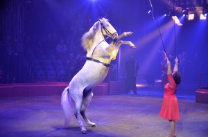 Cirque Arlette Gruss 2016 22   