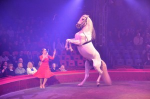 Cirque Arlette Gruss 2016 23     