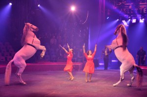 Cirque Arlette Gruss 2016 24     