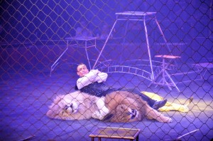 Cirque Arlette Gruss 2016 41     