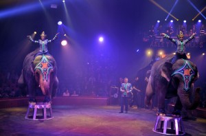 Cirque Arlette Gruss 2016 47        