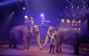 Cirque Arlette Gruss 2016 48        