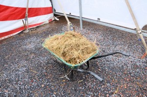 Zoo - Cirque Arlette Gruss 2016 06 
