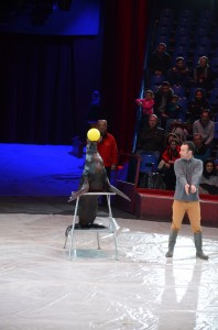 Répétitions Cirque Arlette Gruss 2016 07   