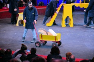 Répétitions Cirque Arlette Gruss 2016 09   