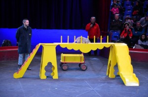 Répétitions Cirque Arlette Gruss 2016 10   