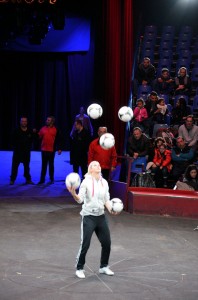 Répétitions Cirque Arlette Gruss 2016 16   