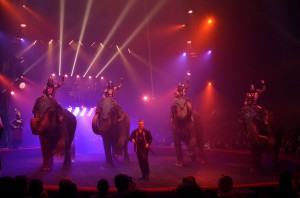 Cirque Arlette Gruss 2017 - 07