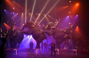 Cirque Arlette Gruss 2017 - 08