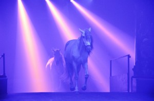 Cirque Arlette Gruss 2017 - 14