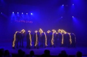 Cirque Arlette Gruss 2017 - 16