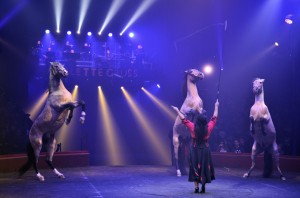Cirque Arlette Gruss 2017 - 17