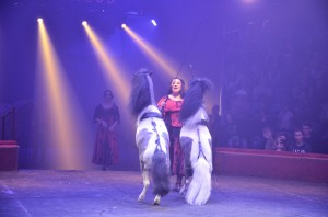 Cirque Arlette Gruss 2017 - 18