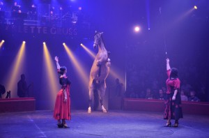 Cirque Arlette Gruss 2017 - 19