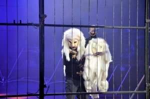 Cirque Arlette Gruss 2017 - 31