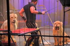 Cirque Arlette Gruss 2017 - 32