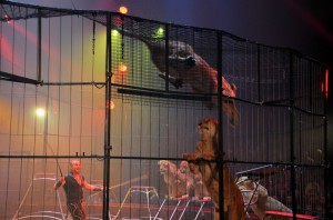 Cirque Arlette Gruss 2017 - 34