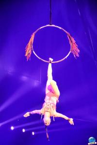 Cirque Arlette Gruss 2020 - 03