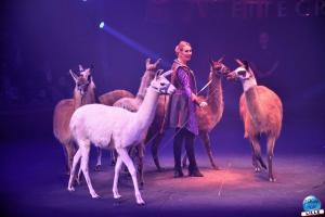 Cirque Arlette Gruss - Mars 2023 - 13