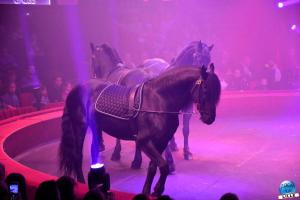 Cirque Arlette Gruss - Mars 2023 - 40