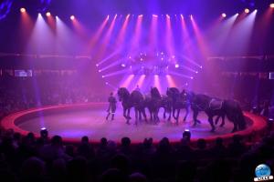 Cirque Arlette Gruss - Mars 2023 - 41