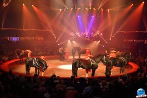 Cirque Arlette Gruss 2025 - 13
