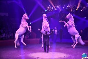 Cirque Arlette Gruss 2025 - 15