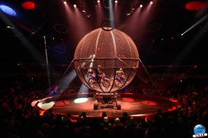 Cirque Arlette Gruss 2026 - 41