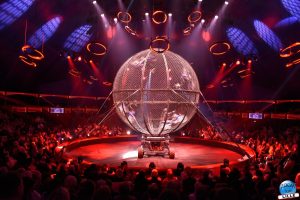 Cirque Arlette Gruss 2026 - 42