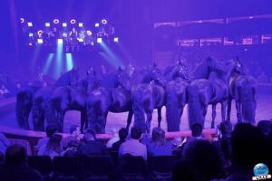 Cirque Arlette Gruss - Mars 2022 - 14