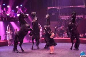 Cirque Arlette Gruss - Mars 2022 - 16