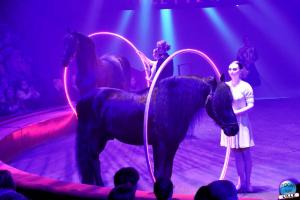 Cirque Arlette Gruss - Mars 2022 - 18