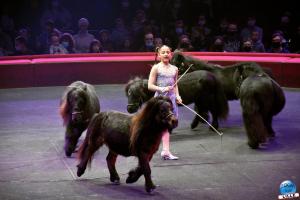 Cirque Arlette Gruss - Novembre 2021- 05