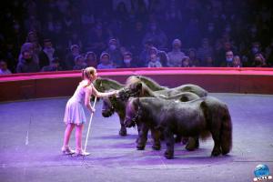 Cirque Arlette Gruss - Novembre 2021- 06