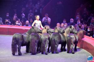 Cirque Arlette Gruss - Novembre 2021- 07
