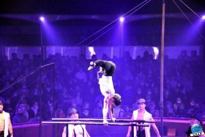 Cirque Arlette Gruss - Novembre 2021- 11