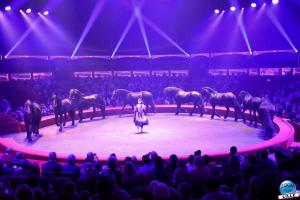 Cirque Arlette Gruss - Novembre 2021- 13