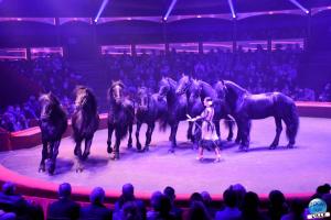 Cirque Arlette Gruss - Novembre 2021- 14