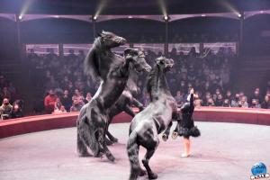 Cirque Arlette Gruss - Novembre 2021- 15