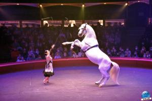 Cirque Arlette Gruss - Villeneuve d'Ascq 2021