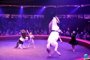 Cirque Arlette Gruss - Novembre 2021- 17