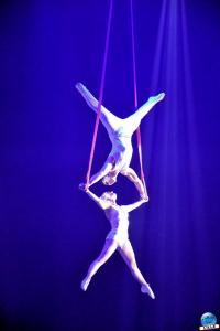 Cirque Arlette Gruss - Novembre 2021- 22