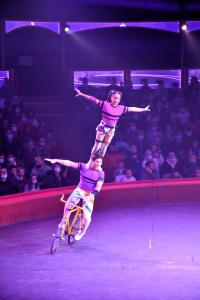 Cirque Arlette Gruss - Novembre 2021- 28