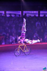 Cirque Arlette Gruss - Novembre 2021- 29