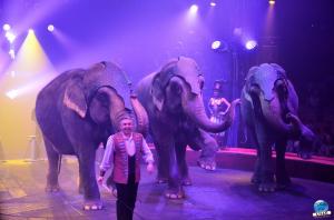 Cirque Arlette Gruss 2018 - 12