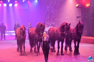 Cirque Arlette Gruss 2018 - 16