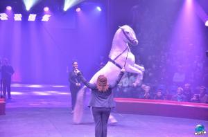 Cirque Arlette Gruss 2018 - 17