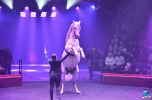 Cirque Arlette Gruss 2018 - 18